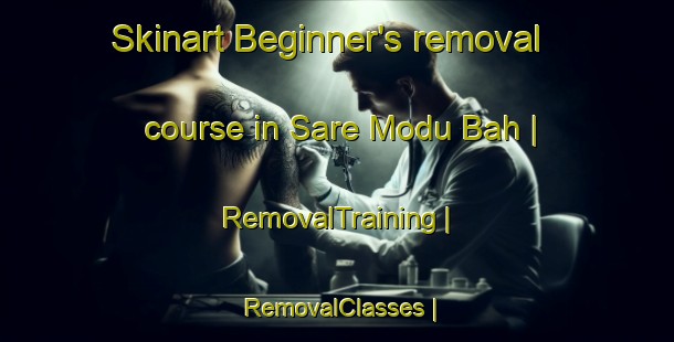 Skinart Beginner's removal course in Sare Modu Bah | RemovalTraining | RemovalClasses | SkinartTraining-Gambia